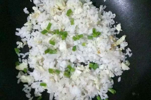 洋葱蛋炒饭的做法图解7