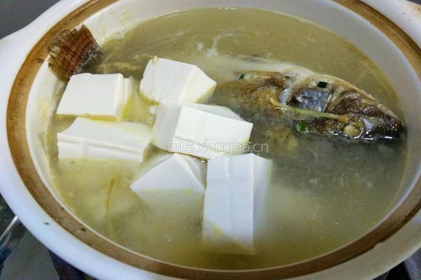 罗非鱼豆腐煲的做法图解8