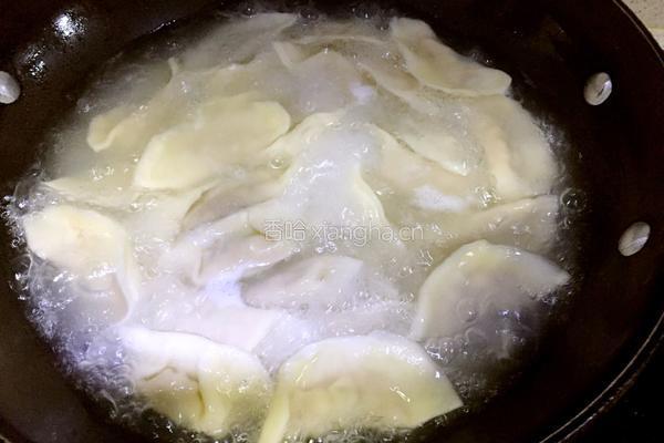 大葱香菇猪肉饺子的做法图解9