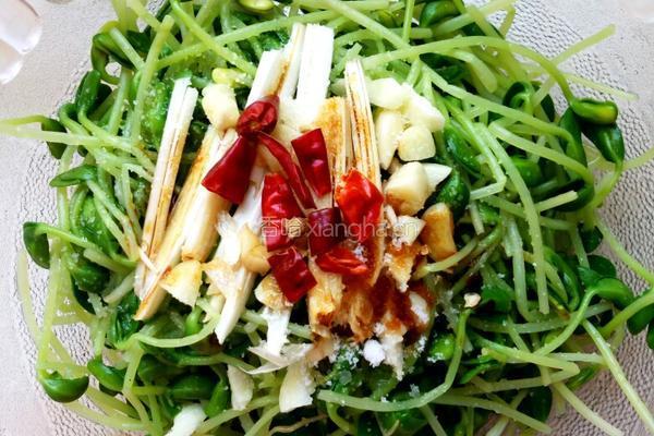 脆拌黑豆苗的做法图解4
