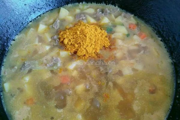 咖喱土豆牛腩的做法图解9