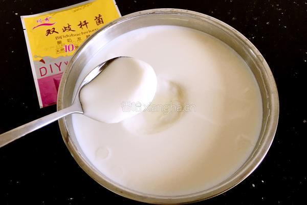 烤箱酸奶的做法图解6