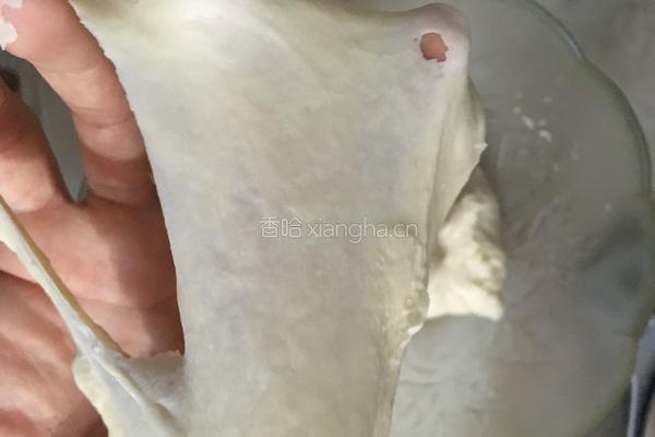 披萨皮的做法图解4