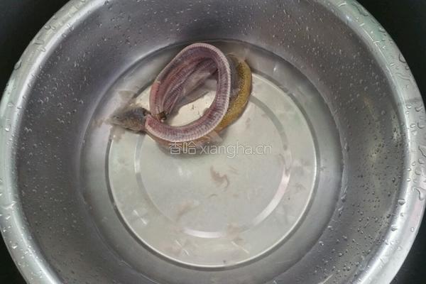 黄鳝粥的做法图解3