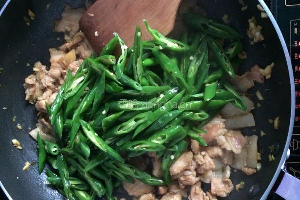 辣椒炒肉的做法图解11