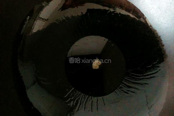高压锅红烧鸡手的做法图解4