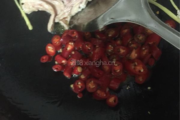 蚝油杏鲍菇的做法图解4