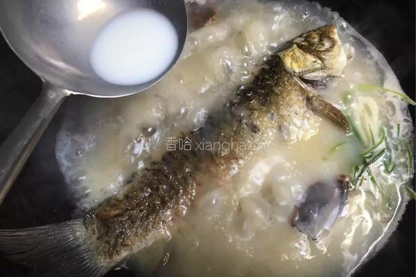 野生鲫鱼汤的做法图解10