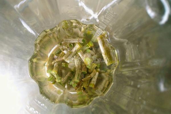 蜂蜜铁皮石斛汁的做法图解3