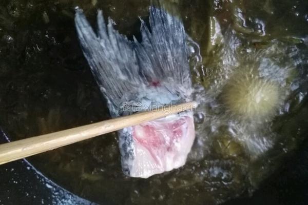 水煮酸菜鱼的做法图解5
