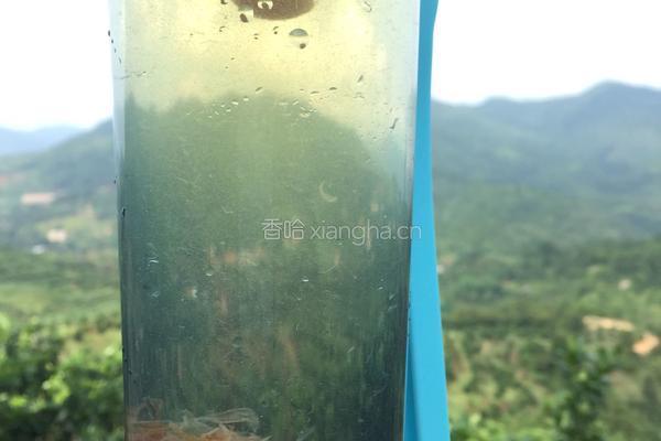 柚子蜜的做法图解7