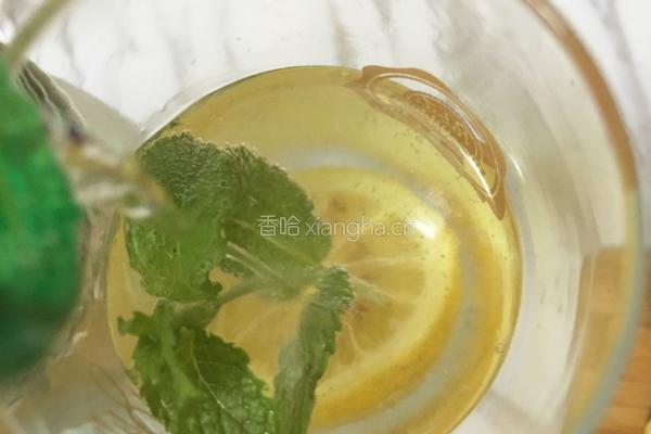柠檬汽水的做法图解5