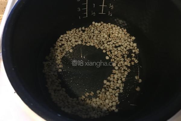 冬瓜薏米粥的做法图解2