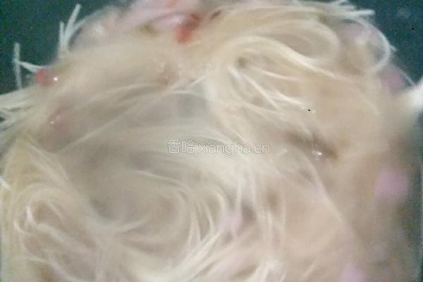 泡菜煮面的做法图解7