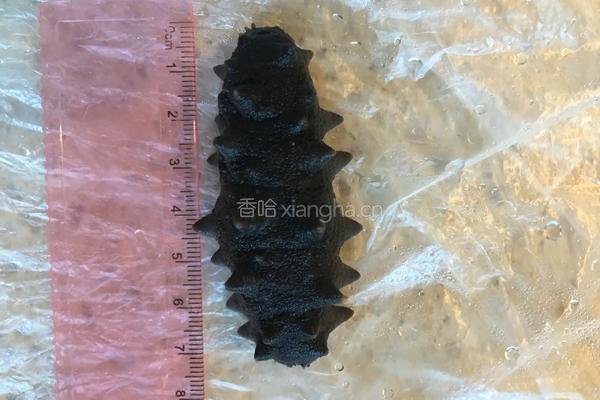 泡发干海参的做法图解2