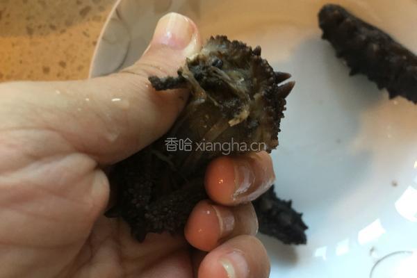 泡发干海参的做法图解3
