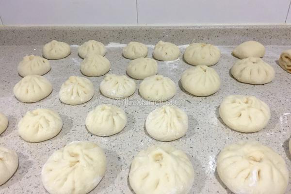 大葱香菇猪肉包的做法图解14