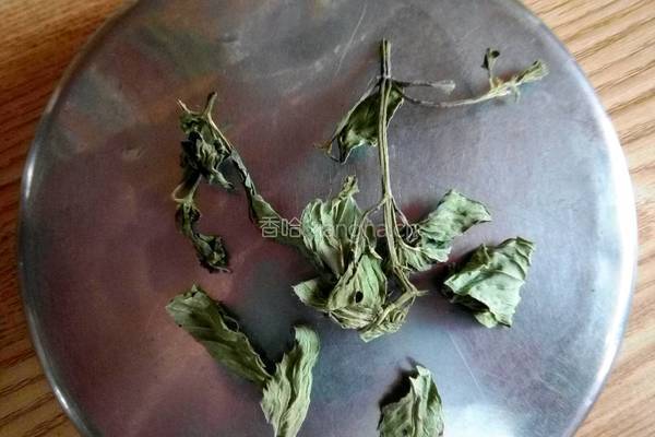 清暑凉茶的做法图解2