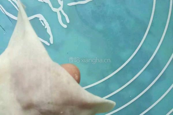 紫菜馄饨的做法图解5
