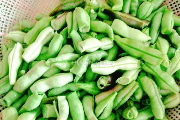 土豆豆角炖南瓜的做法图解3