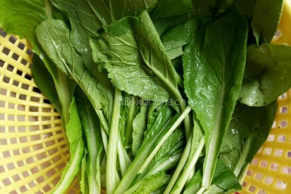香菜丸子的做法图解2