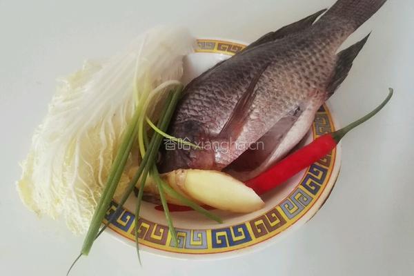 软烧鲫鱼的做法图解1