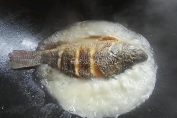 软烧鲫鱼的做法图解5