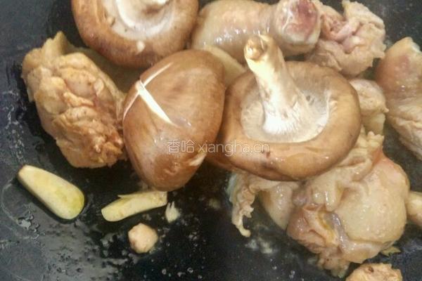 蘑菇炖小鸡的做法图解6