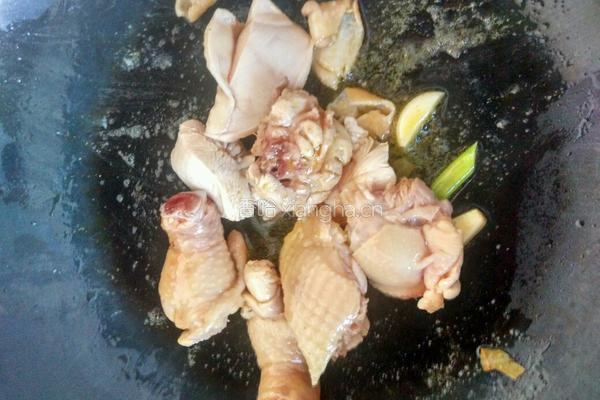 蘑菇炖小鸡的做法图解5