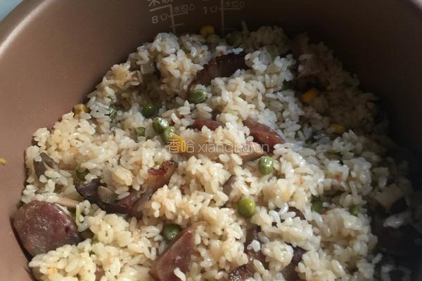 香菇青豆腊肠饭的做法图解6