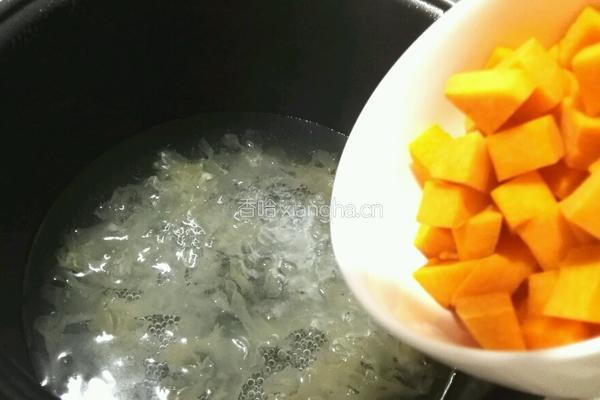 南瓜银耳汤的做法图解4