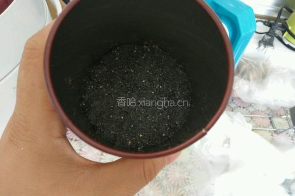 黑芝麻糕的做法图解6