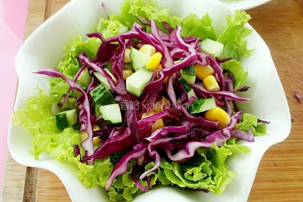紫甘蓝蔬菜沙拉的做法图解6