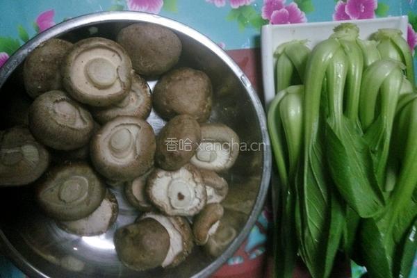 玉树挂金钱的做法图解1