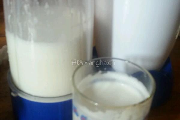 椰奶的做法图解4