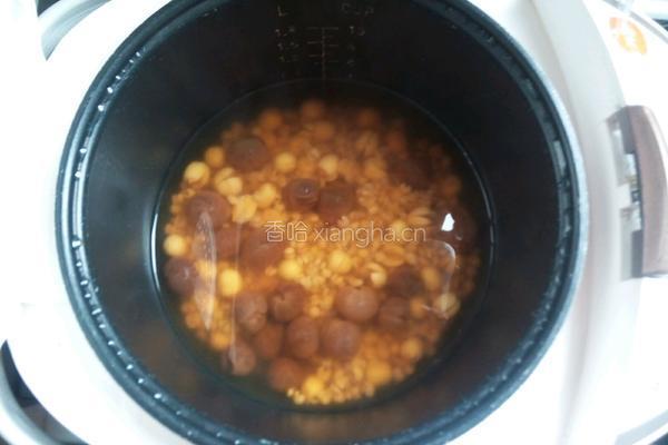 桂圆莲子汤的做法图解7