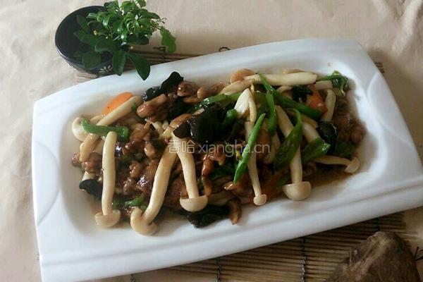 海鲜茹炒鸡腿肉