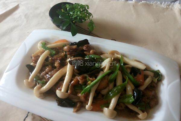 海鲜茹炒鸡腿肉的做法图解10