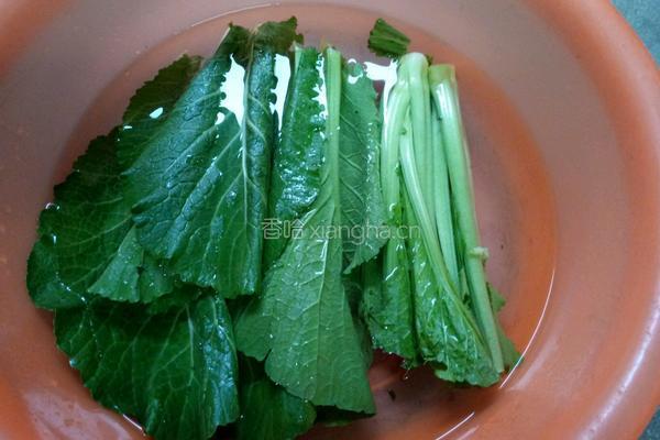 炒芥菜的做法图解1
