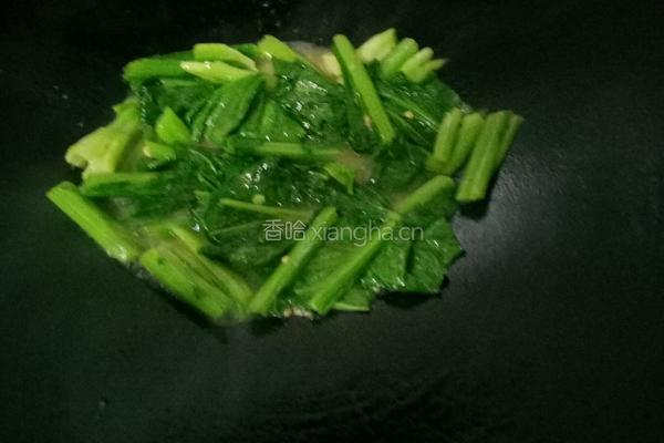 炒芥菜的做法图解7