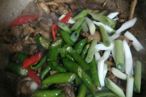 临沂炒鸡的做法图解6
