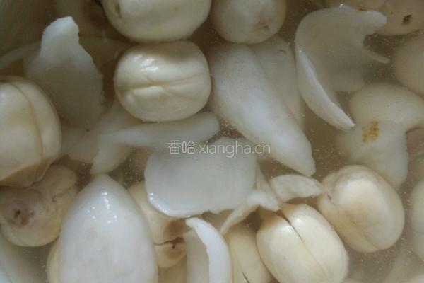 百合莲子的做法图解3