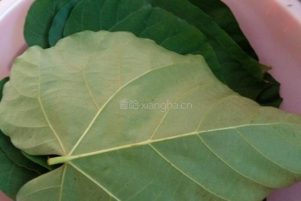 饺子的做法图解1