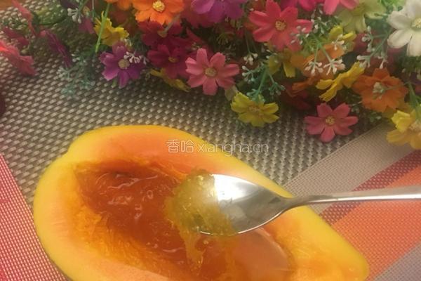 木瓜炖燕窝的做法图解21