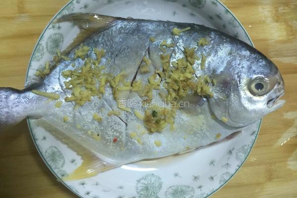 葱油武鲳鱼的做法图解3