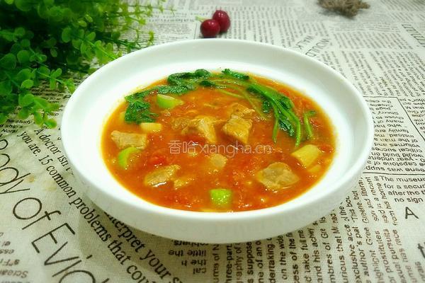 番茄煮牛肉的做法图解13