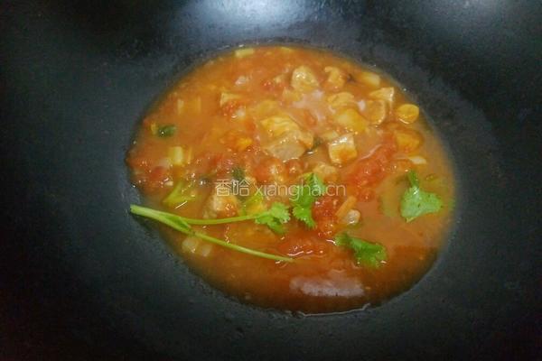 番茄煮牛肉的做法图解11