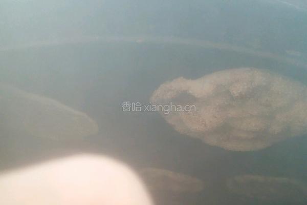 山东大烧饼的做法图解6