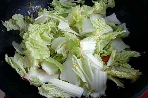 大白菜炖虾的做法图解5