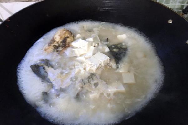 鲤鱼豆腐的做法图解5